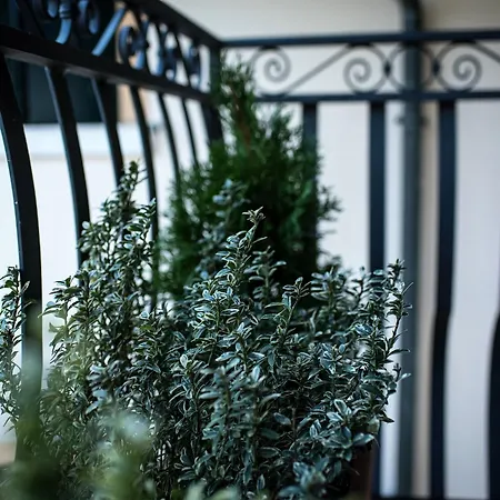 Margherita Hotel